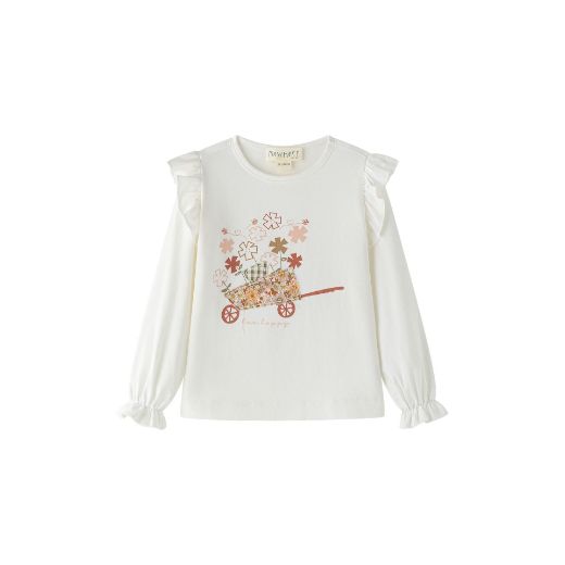 Picture of T-shirt