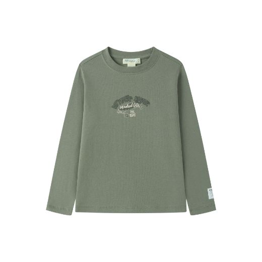 Picture of T-shirt