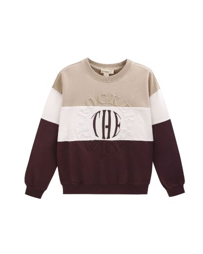 Picture of Sweatshirt