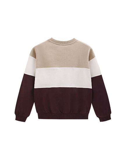 Picture of Sweatshirt