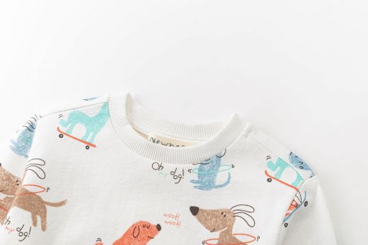 Picture of Sweatshirt