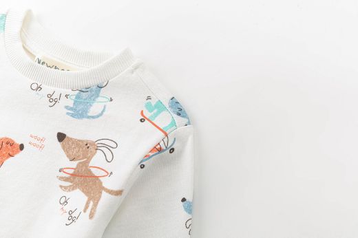 Picture of Sweatshirt