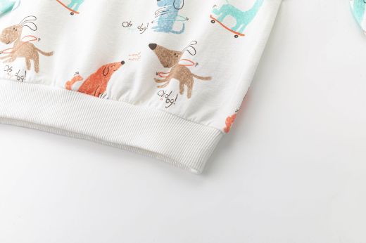 Picture of Sweatshirt