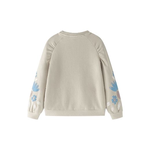 Picture of Sweatshirt